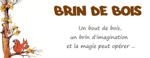 cropped-titrebrindebois1